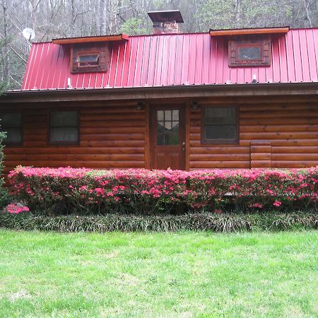 روبنزفيل Buffalo Creek Bed And Breakfast المظهر الخارجي الصورة