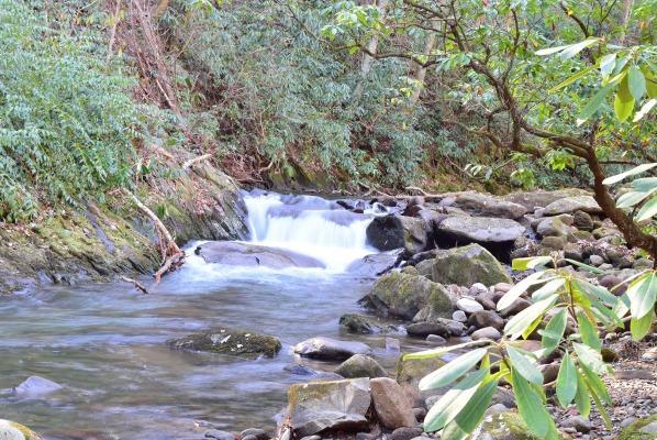 روبنزفيل Buffalo Creek Bed And Breakfast المظهر الخارجي الصورة