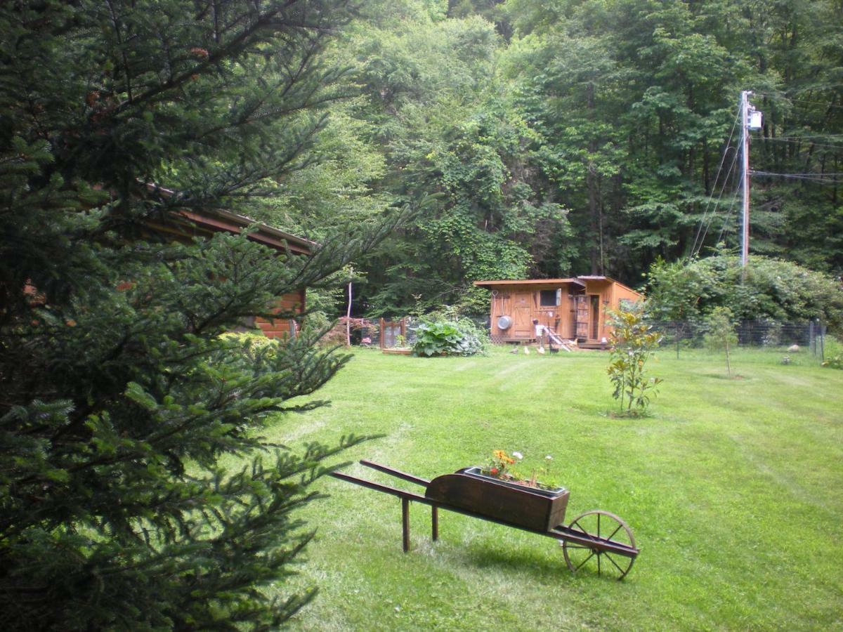 روبنزفيل Buffalo Creek Bed And Breakfast المظهر الخارجي الصورة